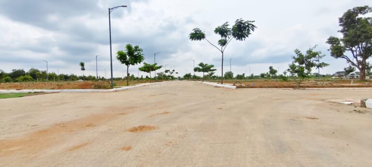Sun Valley developed roads and infrastructure